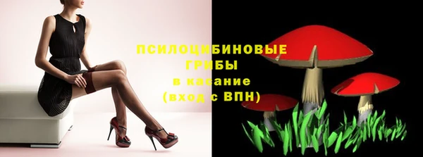 прущие крисы Балахна