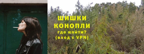прущие крисы Балахна