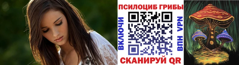 Псилоцибиновые грибы GOLDEN TEACHER  продажа наркотиков  Лебедянь 